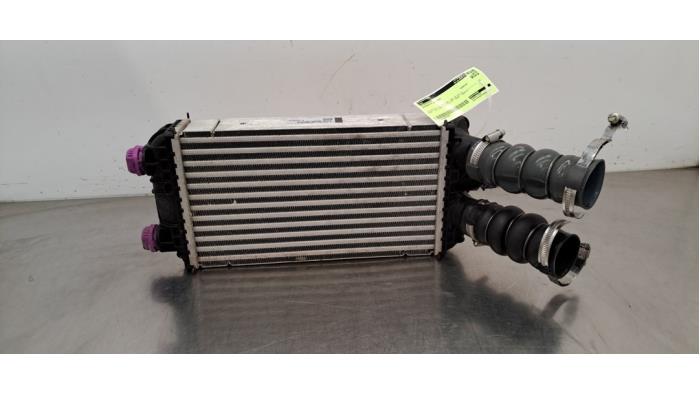 Intercooler Citroen C4