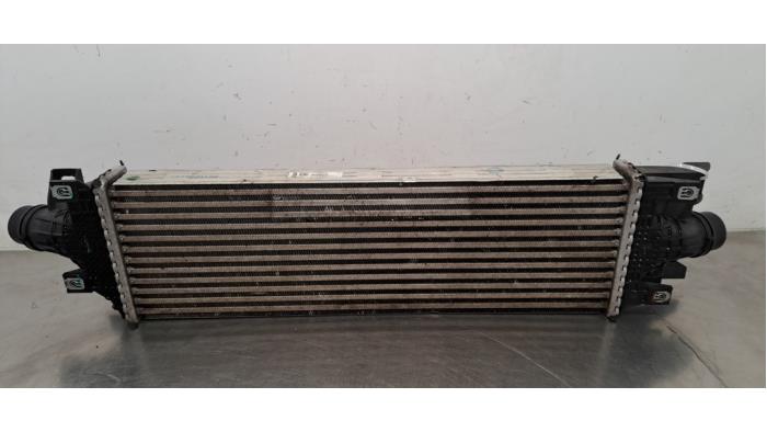 Intercooler Citroen DS4