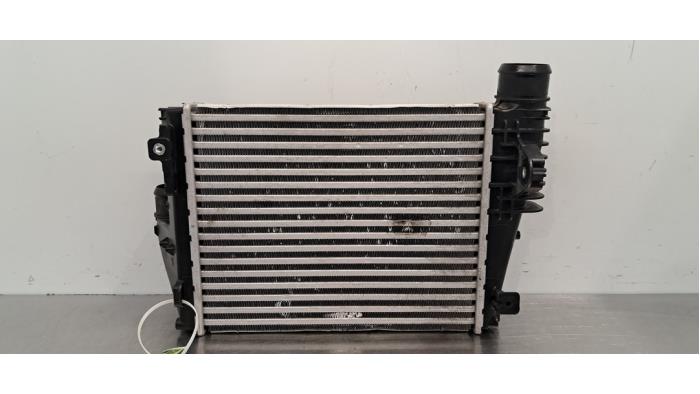 Intercooler Peugeot Expert