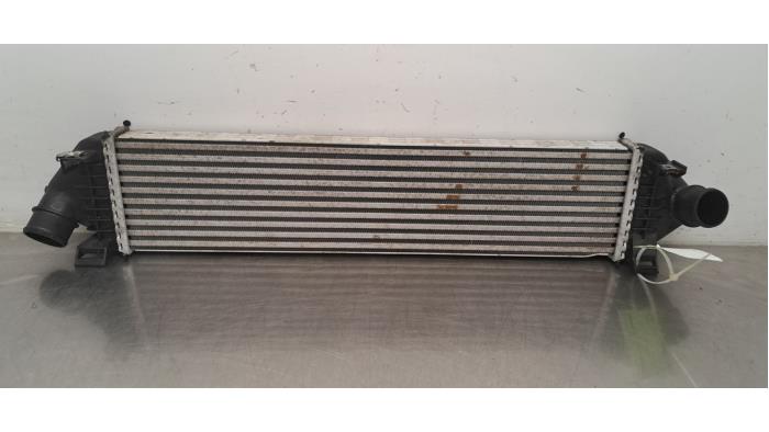 Intercooler Ford Kuga