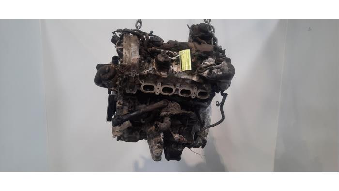 Motor
