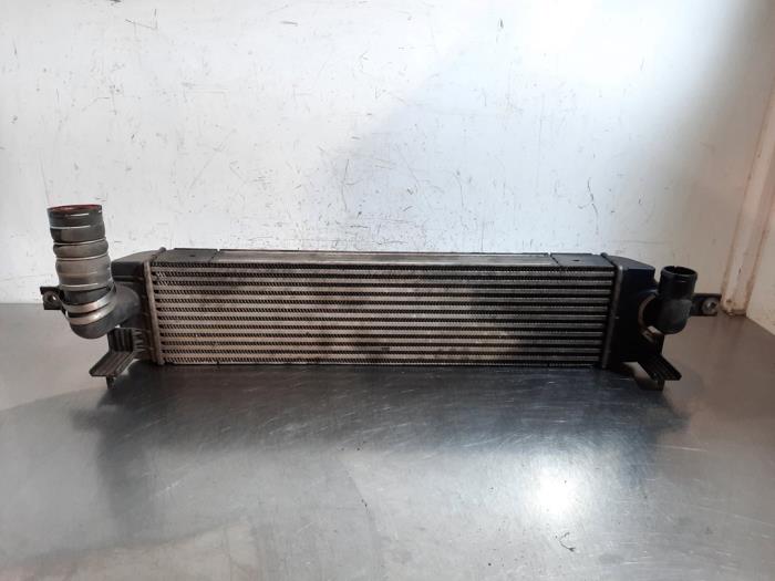Intercooler Renault Koleos