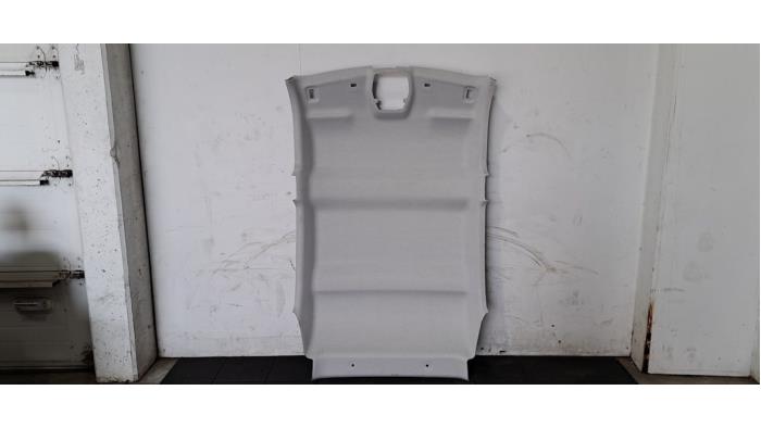 Hemelbekleding Citroen E-C3