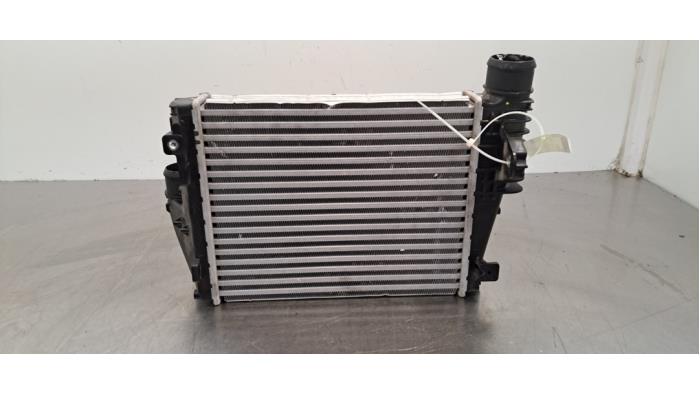 Intercooler Peugeot Expert