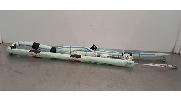 Airbag headliner sinistro Tesla Model Y