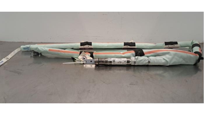 Airbag headliner destro Tesla Model Y