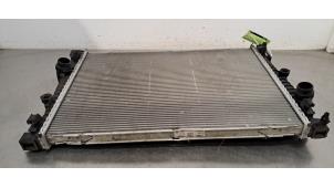 Radiateur van een BMW X3 (G01) xDrive 20d 2.0 TwinPower Turbo 16V 2018