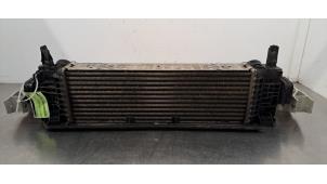 Gebruikte Intercooler BMW X3 (G01) xDrive 20d 2.0 TwinPower Turbo 16V Prijs € 199,65 Inclusief btw aangeboden door Autohandel Didier