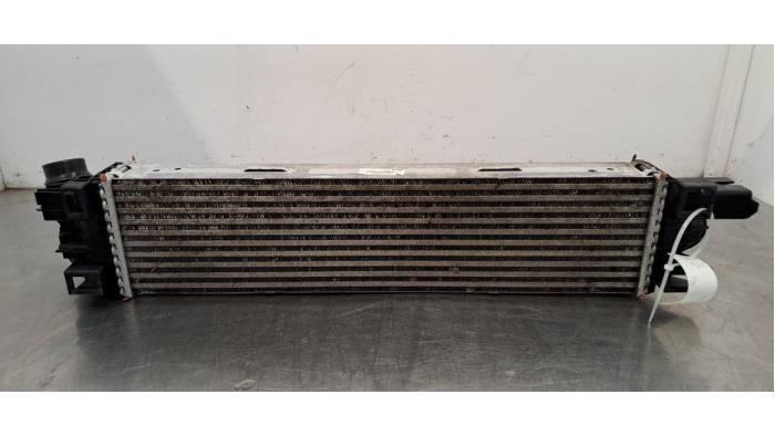 Intercooler Renault Trafic