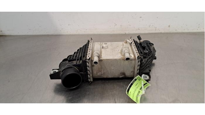 Intercooler Volkswagen Crafter