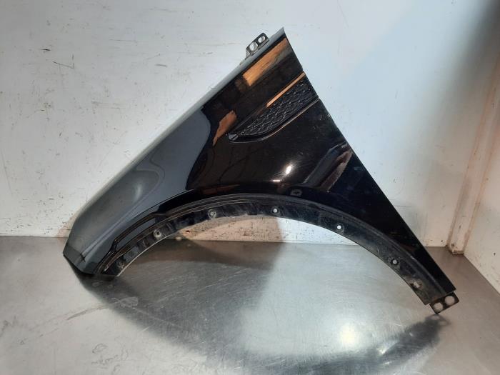 Scherm links-voor Landrover Discovery