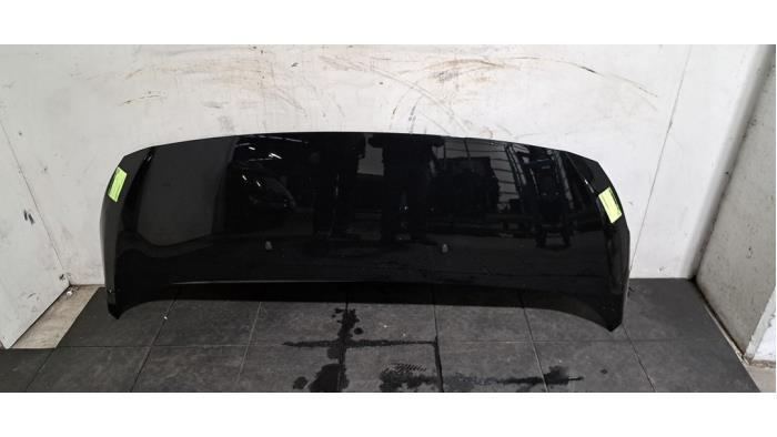 Capot Peugeot Expert Capot Peugeot Expert