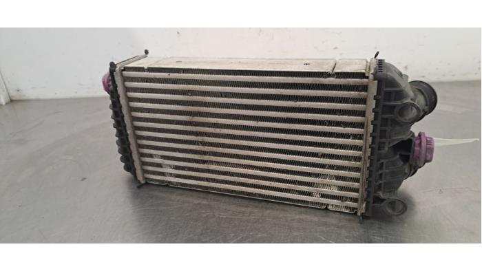 Intercooler Citroen C3