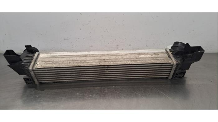 Intercooler Mini Mini