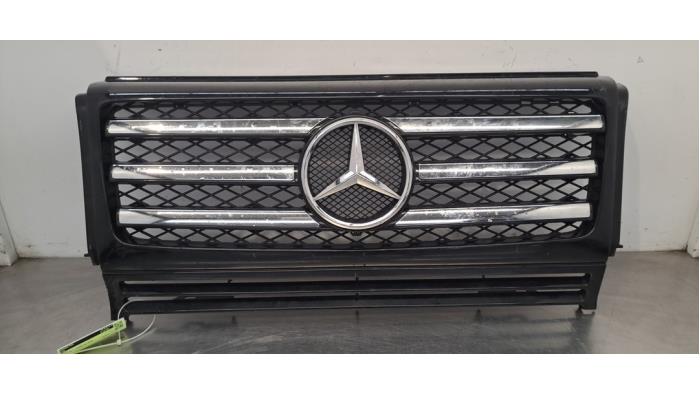 Grille Mercedes G-Klasse
