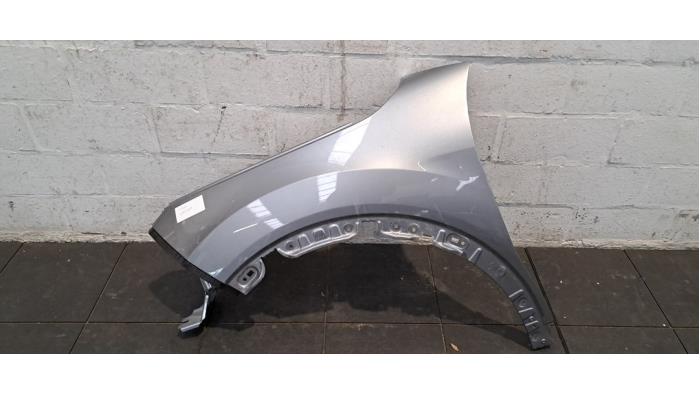 Scherm links-voor Citroen C4