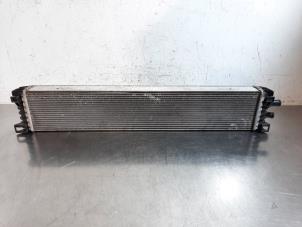 Gebruikte Radiateur Audi A4 Avant (B9) 1.4 TFSI 16V Prijs € 102,85 Inclusief btw aangeboden door Autohandel Didier
