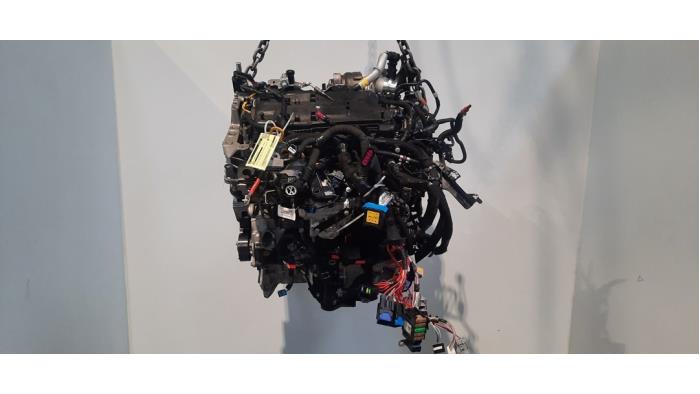 Motor