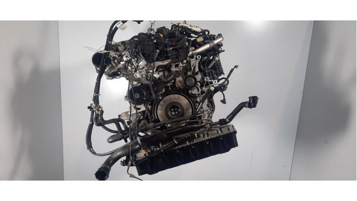 Motor