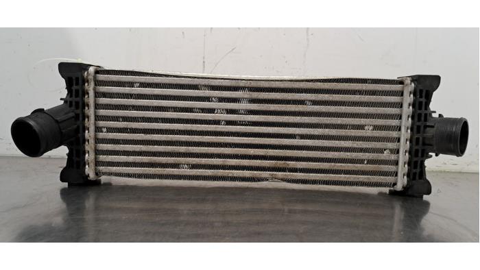Intercooler Ford Transit
