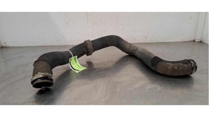 Intercooler Slang Citroen Jumpy
