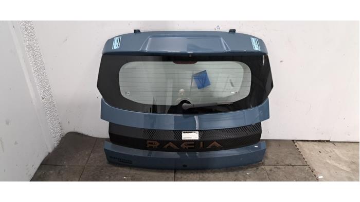 Hayon Dacia Spring