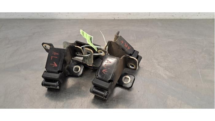 Set of hinges Renault Express