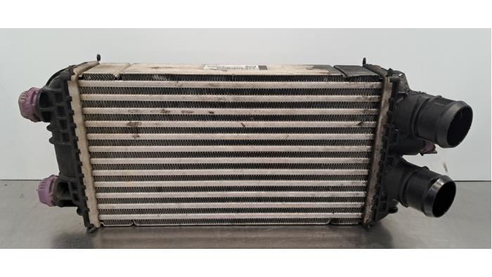 Intercooler DS Automobiles Ds3 Crossback