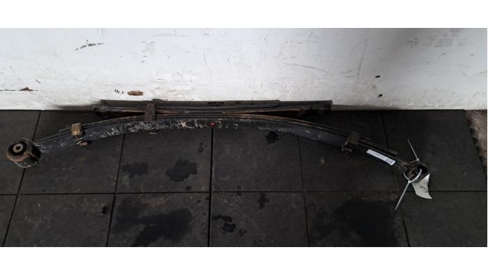 Bladveer achter Mercedes Vito