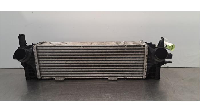 Ladeluftkühler BMW X5