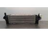 BMW X5 (G05) xDrive 25d 2.0 16V Intercooler