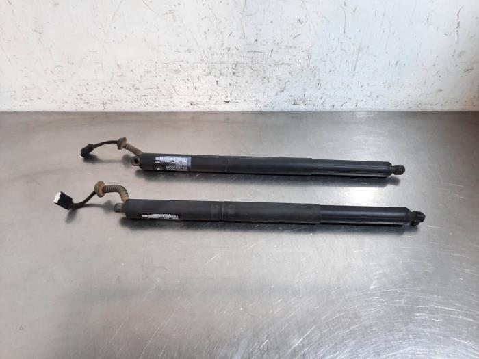 Set of gas struts for boot