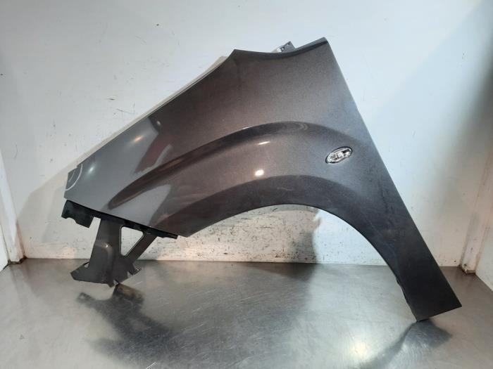 Scherm links-voor Citroen Berlingo Scherm links-voor Citroen Berlingo