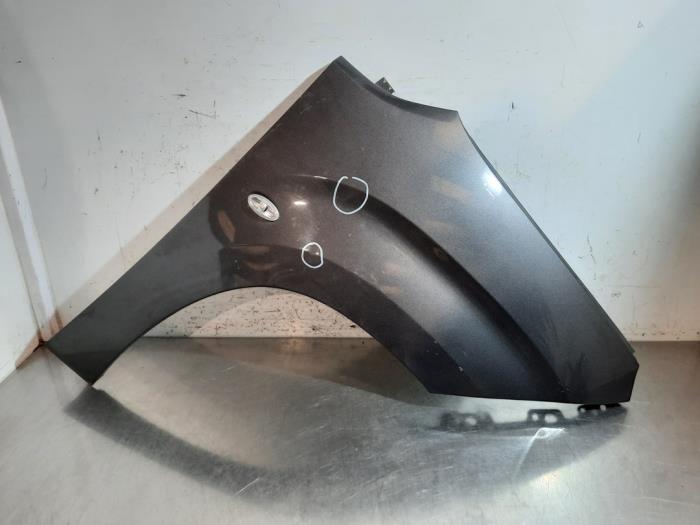 Scherm rechts-voor Citroen Berlingo Scherm rechts-voor Citroen Berlingo