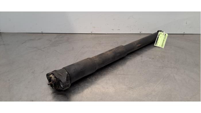 Schokdemper links-achter Citroen C3 Schokdemper links-achter Citroen C3