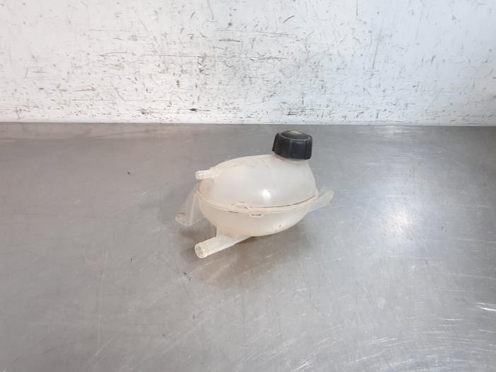 Ausgleichsbehälter Renault Clio