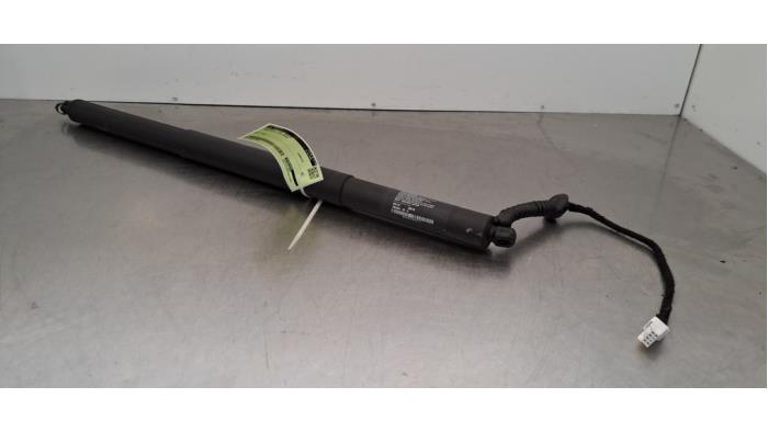 Gasdemper links-achter Tesla Model X Gasdemper links-achter Tesla Model X