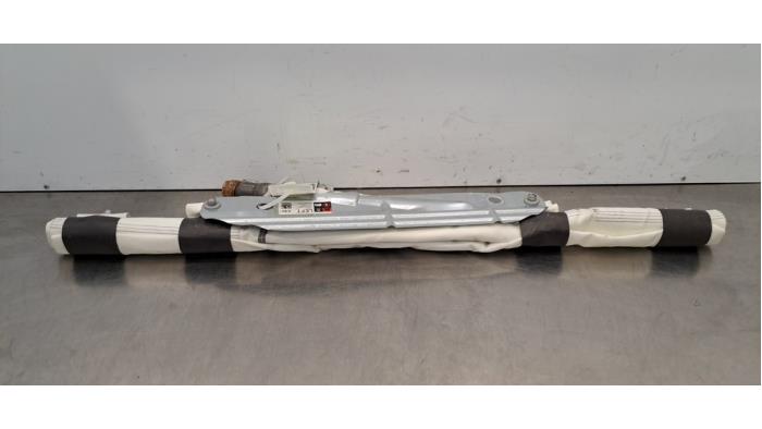 Airbag plafond gauche Tesla Model X Airbag plafond gauche Tesla Model X