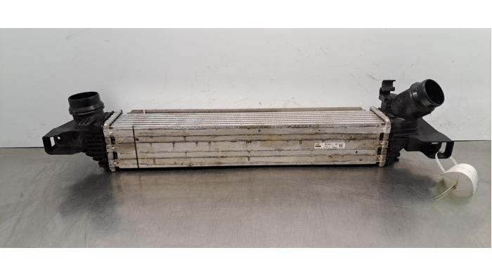 Intercooler Mini Countryman Intercooler Mini Countryman