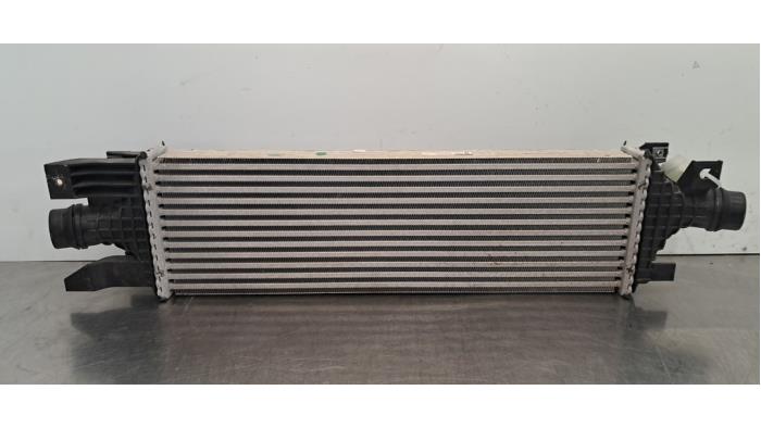 Intercooler DS Automobiles DS9 Intercooler DS Automobiles DS9