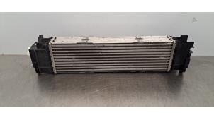 Gebruikte Intercooler BMW 3 serie Touring (G21) 318i 2.0 TwinPower Turbo 16V Prijs € 163,35 Inclusief btw aangeboden door Autohandel Didier