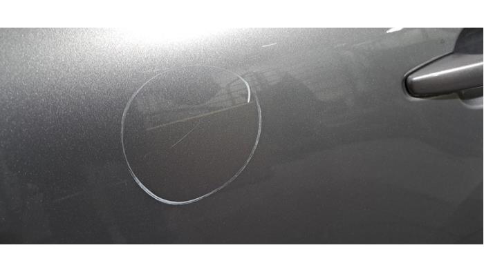 Portier 4Deurs links-achter Citroen C4