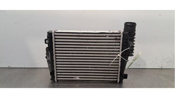 Intercooler Peugeot Expert