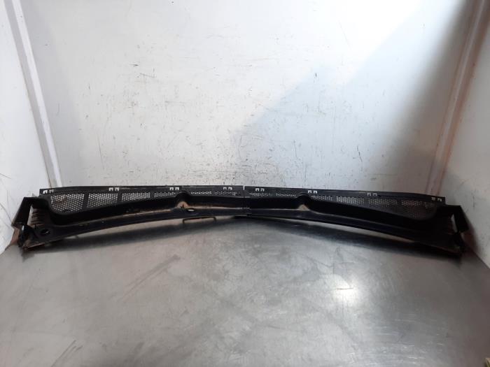 Paravent Citroen Berlingo