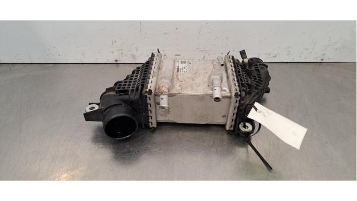 Intercooler Volkswagen Transporter