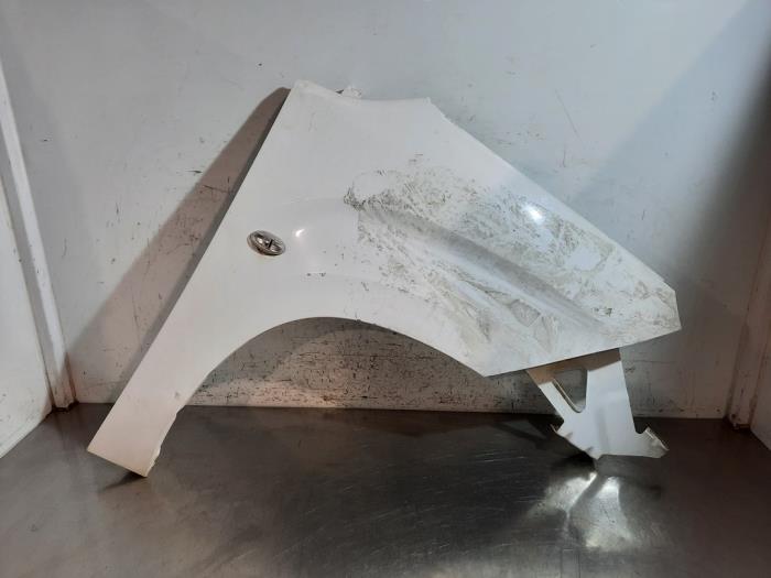 Protector derecha delante Peugeot Partner