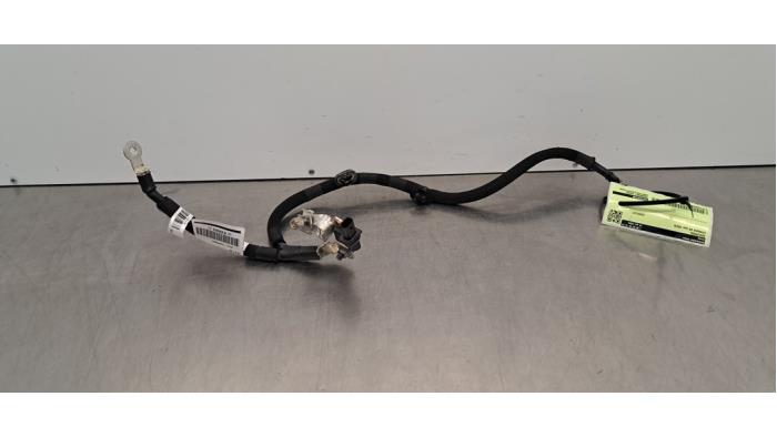 Akumuliatoriaus gnybtas Citroen C3