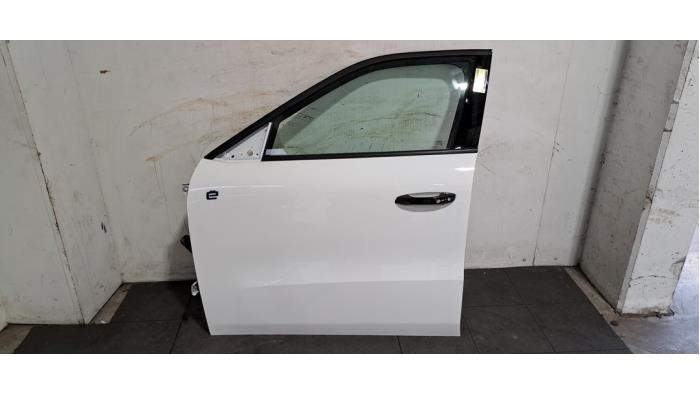 Puerta de 4 puertas izquierda delante Citroen C3