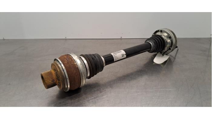 Kairės pusės galinis varantysis velenas Audi E-Tron