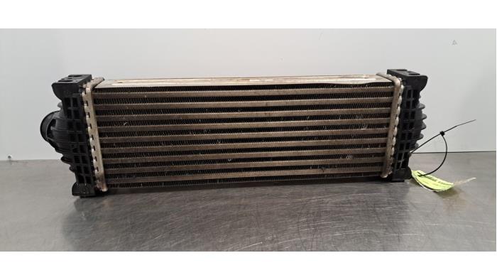 Intercooler Ford Transit